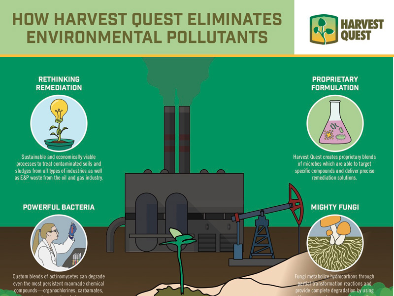 Infographic Bioremediation Download Harvest Quest